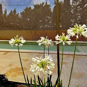Сasa de vacaciones Agradable Con Piscina En La Barrosa, Chiclana de la Frontera